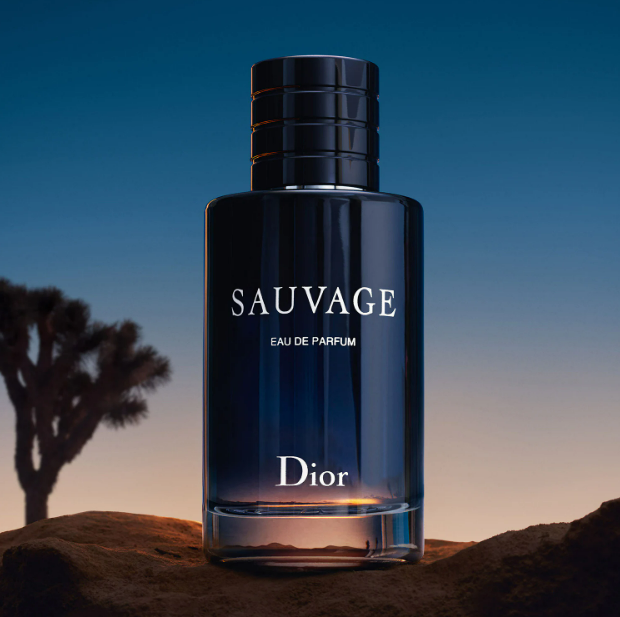 Dior Sauvage - Eau de Parfum Erkek 100 ml