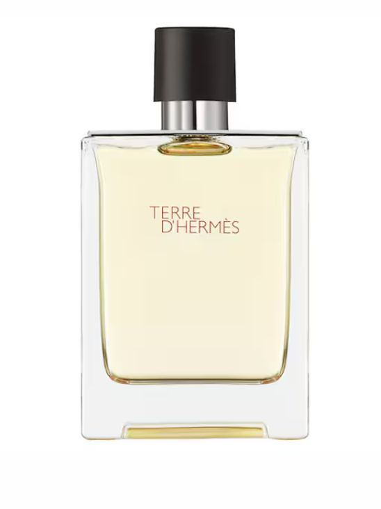 Hermes Terre d'Hermès Eau de Toilette Parfum Erkek 100 ml