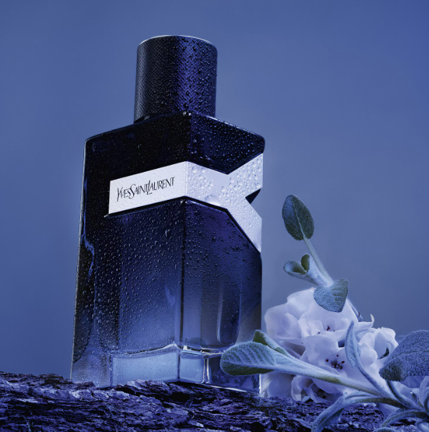 Yves Saint Laurent Y - Eau de Parfum Erkek 100 ml