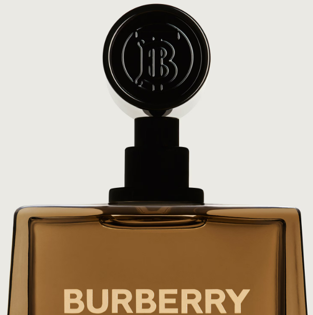Burberry Hero Eau de Parfum Erkek 100 ml